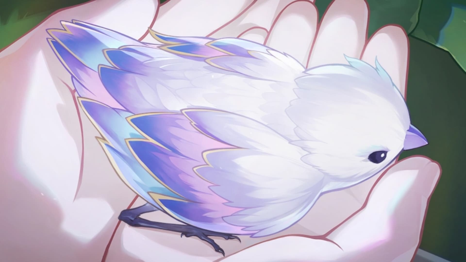 Charmony Dove 5: Singaporean